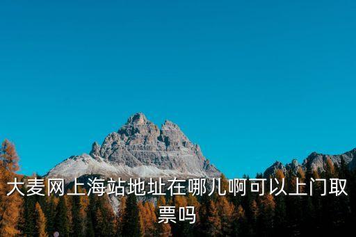 大麥網(wǎng)上海站地址在哪兒啊可以上門取票嗎