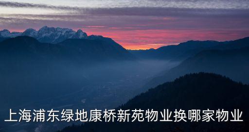 上海市花城物業有限公司，上海市有哪幾家家比較大的物業公司