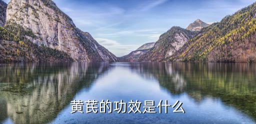 黃芪的作用和功效，黃芪的功效