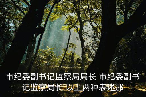 市紀委副書記監(jiān)察局局長 市紀委副書記監(jiān)察局長 以上兩種表述那