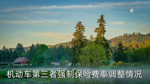 上海市交強險費率調整，上海TD費率可以在哪可以調成萬35以下