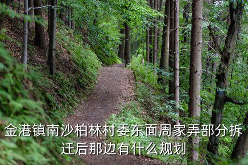 上海市莆田區西棟街道金港村，請問金港鎮福明村南片1組2組是保留村嗎