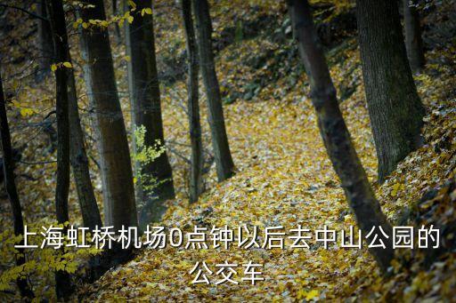上海虹橋機場0點鐘以后去中山公園的公交車