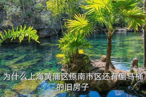 為什么上海黃浦區原南市區還有倒馬桶的舊房子