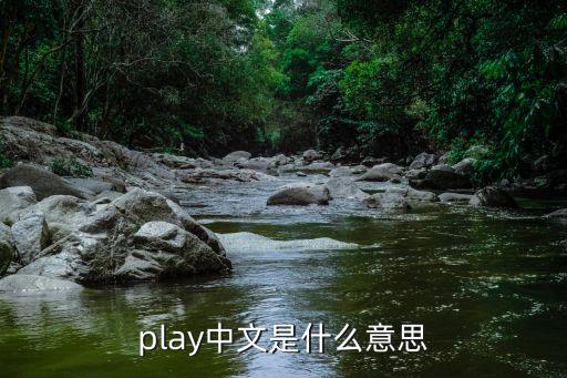 play中文是什么意思