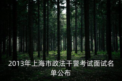 上海市政院審計招聘，2013年上海市政法干警考試面試名單信息