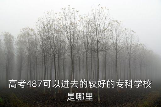 高考487可以進去的較好的專科學校是哪里