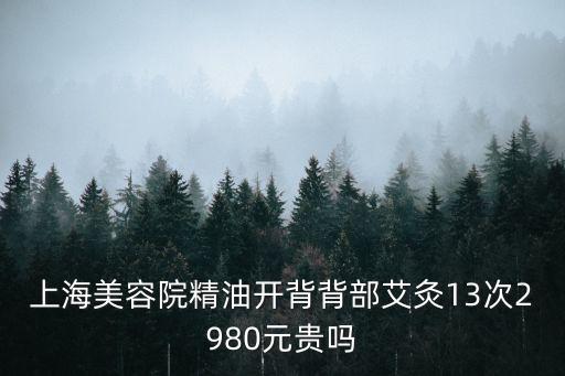 上海美容院精油開背背部艾灸13次2980元貴嗎