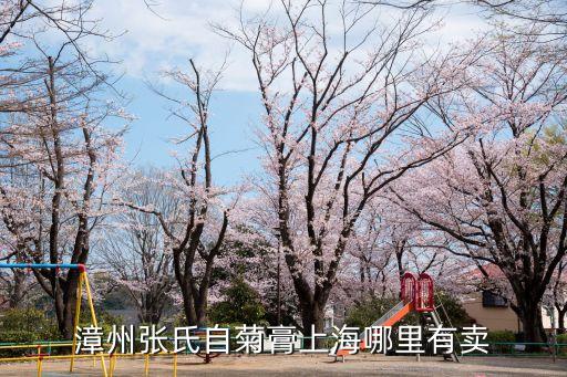漳州張氏自菊膏上海哪里有賣