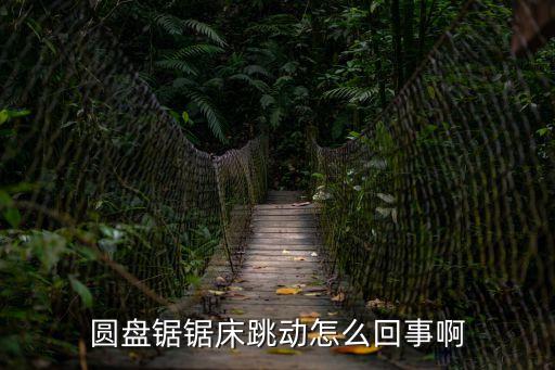 圓盤鋸鋸床跳動怎么回事啊