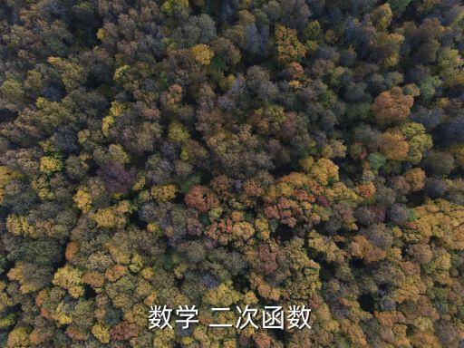 二次函數教學反思，數學 二次函數