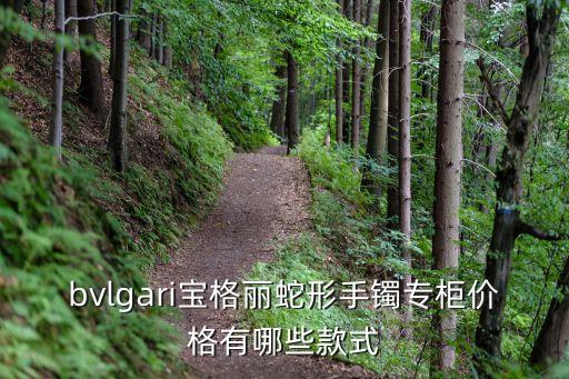 bvlgari寶格麗蛇形手鐲專柜價格有哪些款式
