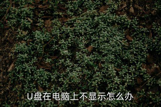 u盤插入電腦不顯示怎么辦，我的U盤在電腦上不顯示怎么辦