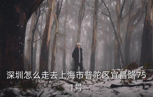 深圳怎么走去上海市普陀區宜昌路751號