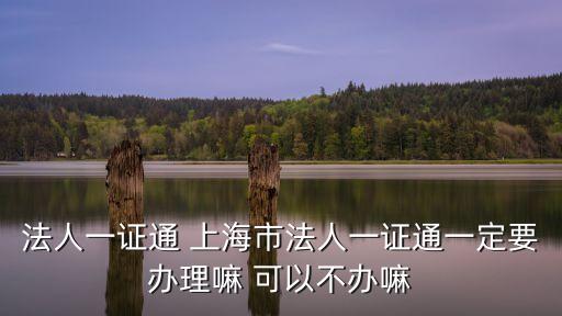 上海市法人一證通資質，法人一證通 上海市法人一證通一定要辦理嘛 可以不辦嘛