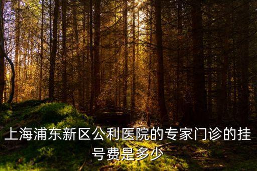 上海市公利醫院肺科門診，上海公立醫院男性專科門診找哪家好