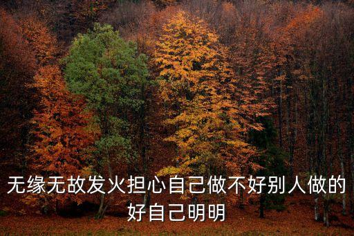 盧衛紅上海市精神衛生中心，經常失眠和焦慮請問醫生這檢查是什么意思