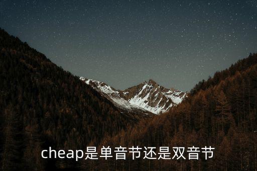 cheap怎么讀，cheap怎么讀