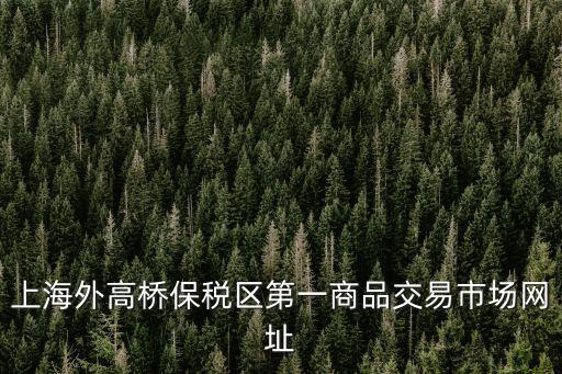 上海市新型貿易平臺，上海佳太貿易公司和哪幾個銷售平臺合作
