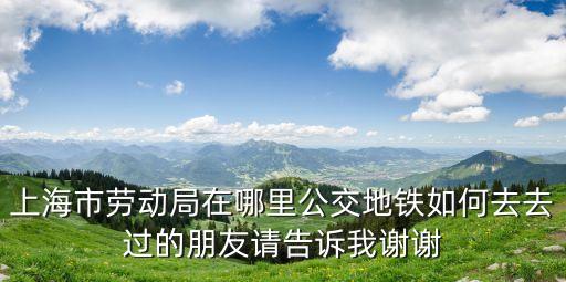 上海市車墩鎮勞動局地址，上海勞動局在哪