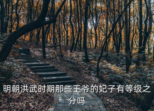明朝洪武時(shí)期那些王爺?shù)腻佑械燃?jí)之分嗎