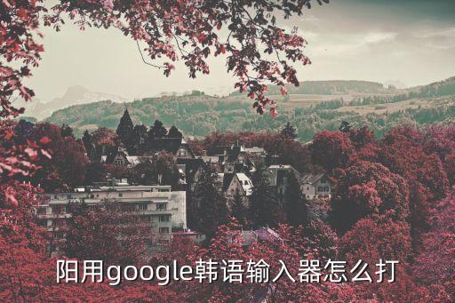 陽用google韓語輸入器怎么打