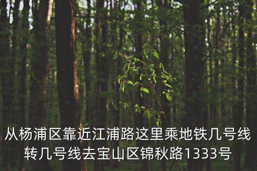 從楊浦區(qū)靠近江浦路這里乘地鐵幾號(hào)線轉(zhuǎn)幾號(hào)線去寶山區(qū)錦秋路1333號(hào)