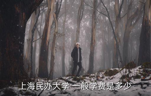 上海民辦大學(xué) 一般學(xué)費(fèi)是多少
