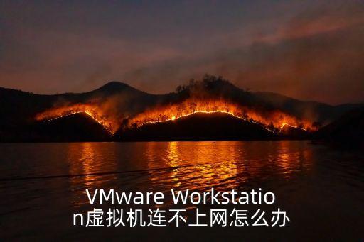 VMware Workstation虛擬機連不上網(wǎng)怎么辦