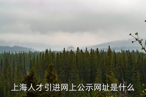 上海市浦江人才c類公示2021，上海市浦江區