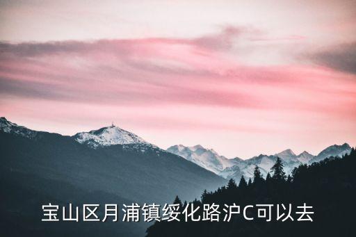 上海市月浦打卡點，寶山區月浦鎮綏化路滬C可以去