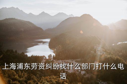 上海市浦東新區高東鎮勞務糾紛，上海浦東勞資糾紛找什么部門打什么電話