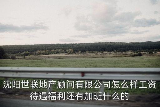 沈陽世聯(lián)地產(chǎn)顧問有限公司怎么樣工資待遇福利還有加班什么的