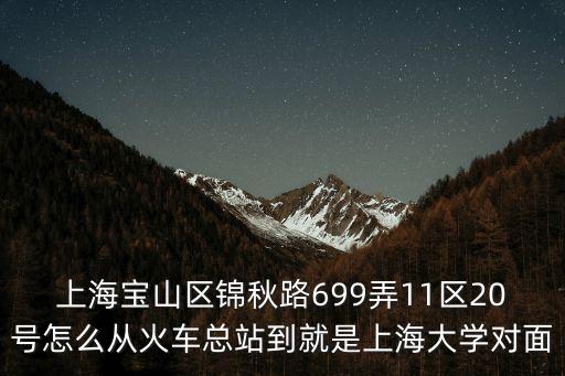 上海寶山區(qū)錦秋路699弄11區(qū)20號(hào)怎么從火車(chē)總站到就是上海大學(xué)對(duì)面