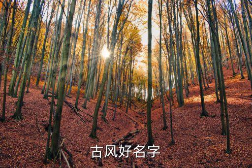 古風古韻的名字，好聽點的古風名字