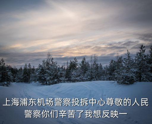 上海浦東機(jī)場(chǎng)警察投拆中心尊敬的人民警察你們辛苦了我想反映一
