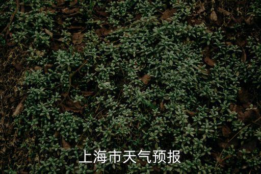 上海市天氣預報
