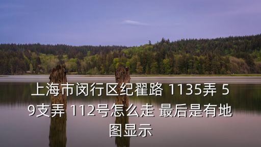 上海市閔行區紀翟路 1135弄 59支弄 112號怎么走 最后是有地圖顯示