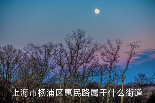 上海市楊浦區(qū)惠民路屬于什么街道