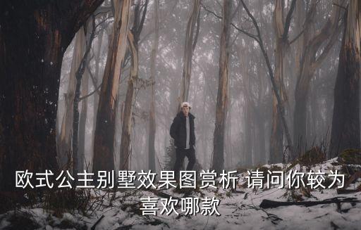 歐式公主別墅效果圖賞析 請問你較為喜歡哪款