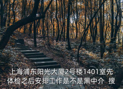 上海市陽光南路，上海浦東陽光大廈2號樓1401室先體檢之后安排工作是不是黑中介  搜