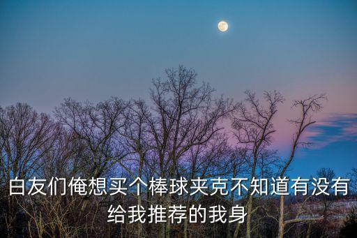 白友們俺想買個棒球夾克不知道有沒有給我推薦的我身