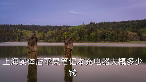 上海市德直流電源價格，PS2電源上海賣多少錢啊