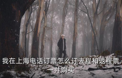 我在上海電話訂票怎么訂去程和返程票一并購買
