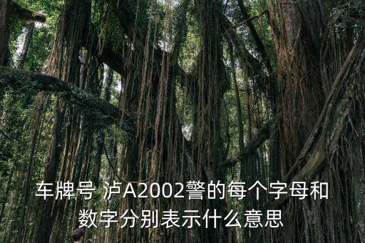 上海市警車外形，現在上海警車大多數是什么牌子的