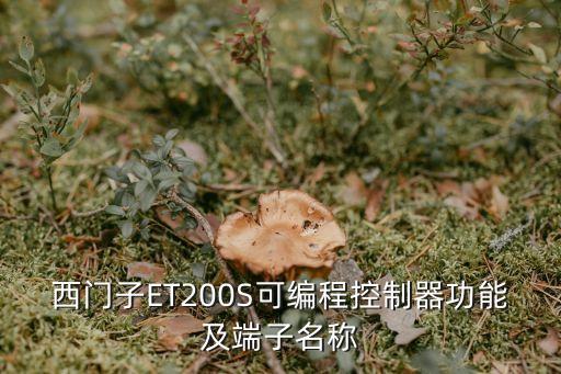 西門(mén)子ET200S可編程控制器功能及端子名稱(chēng)