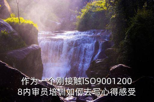 作為一個剛接觸ISO90012008內審員培訓如何去寫心得感受