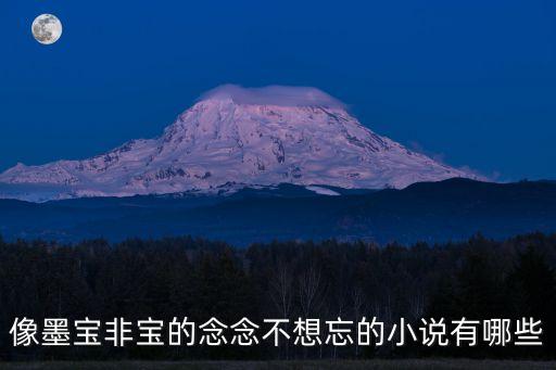 念念不想忘墨寶非寶，有沒有一本小說叫思念沉沉女主叫司念男主角陳晨的