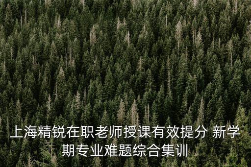 上海精銳在職老師授課有效提分 新學期專業(yè)難題綜合集訓