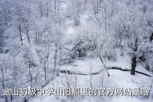金山初級中學山陽那里的官方網站是啥